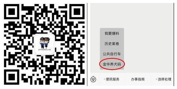 金华养犬码上线 养犬人请尽快领取爱犬专属“健康码”