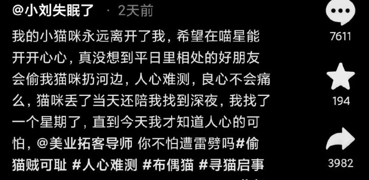 细思极恐！追我的男生偷我猫扔进河里还假惺惺陪我找猫到深夜.